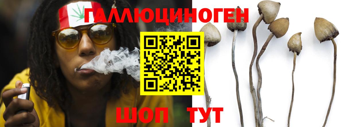 Галлюциногенные грибы MAGIC MUSHROOMS Добрянка
